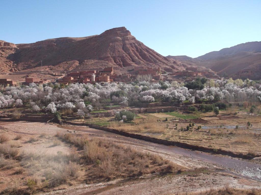 فندق Kasbah Ounila آيت بن حدو المظهر الخارجي الصورة